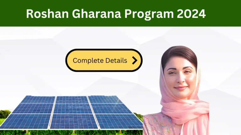 CM Punjab Roshan Gharana Program 2024