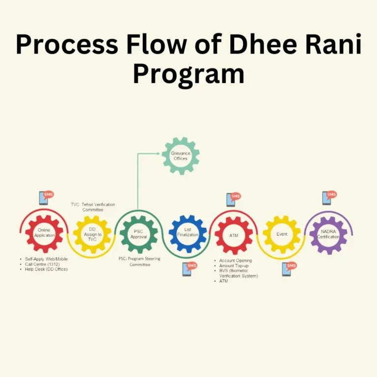 CM Punjab Launches Dhee Rani Program - Marriage Made Easy 1 Process flow of dhee rani program by Maryam Nawaz